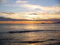 Черное море ждёт эконефть: грязь и мазут идут, но пока рыба ещё стоит