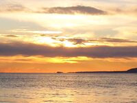 Черное море ждёт эконефть: грязь и мазут идут, но пока рыба ещё стоит