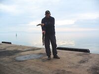 Порт Бургас, Японский кей: холодная хмурь, но пеленгас и сингиль заходят