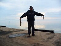 Порт Бургас, Японский кей: холодная хмурь, но пеленгас и сингиль заходят