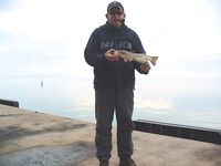 Порт Бургас, Японский кей: холодная хмурь, но пеленгас и сингиль заходят