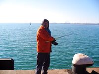 Порт Бургас, Японский кей: холодная хмурь, но пеленгас и сингиль заходят