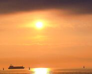 Порт Бургас, Японский кей: холодная хмурь, но пеленгас и сингиль заходят