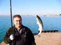 Порт Бургас, Японский кей: холодная хмурь, но пеленгас и сингиль заходят