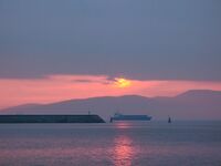 Порт Бургас, Японский кей: холодная хмурь, но пеленгас и сингиль заходят