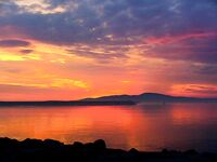 Порт Бургас, Японский кей: холодная хмурь, но пеленгас и сингиль заходят