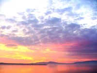 Порт Бургас, Японский кей: холодная хмурь, но пеленгас и сингиль заходят