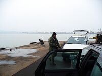 Северо-восток, шквал и «мертвяк» в порту: один крупный пеленгас и малый сингиль