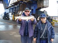 Северо-восток, шквал и «мертвяк» в порту: один крупный пеленгас и малый сингиль