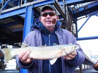 Северо-восток, шквал и «мертвяк» в порту: один крупный пеленгас и малый сингиль