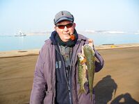 Рождественский холод: по одной-две на удочки, рассвет золотой и судак в отметке