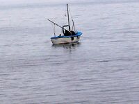 Царево — тёща, Бургас — промысел: 18 и 44 штуки за два дня по пеленгасу