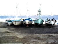 Царево — тёща, Бургас — промысел: 18 и 44 штуки за два дня по пеленгасу