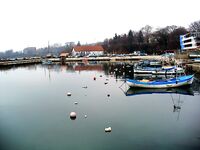 Царево — тёща, Бургас — промысел: 18 и 44 штуки за два дня по пеленгасу