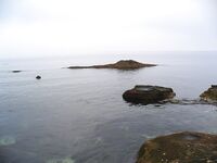 Царево — тёща, Бургас — промысел: 18 и 44 штуки за два дня по пеленгасу