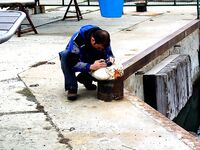 Царево — тёща, Бургас — промысел: 18 и 44 штуки за два дня по пеленгасу