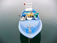 Царево — тёща, Бургас — промысел: 18 и 44 штуки за два дня по пеленгасу