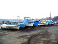 Царево — тёща, Бургас — промысел: 18 и 44 штуки за два дня по пеленгасу