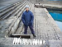 Царево — тёща, Бургас — промысел: 18 и 44 штуки за два дня по пеленгасу