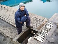 Царево — тёща, Бургас — промысел: 18 и 44 штуки за два дня по пеленгасу