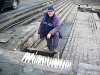 Царево — тёща, Бургас — промысел: 18 и 44 штуки за два дня по пеленгасу