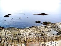 Царево — тёща, Бургас — промысел: 18 и 44 штуки за два дня по пеленгасу