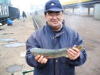 Японский пирс, примета с «кастрой»: мороз, туман и редкий клев пеленгаса