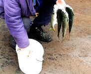 Порт Бургас, «Япончик»: холод, туман, снег и возврат из Поморие к улову