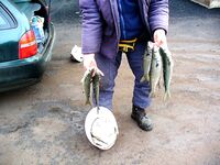 Порт Бургас, «Япончик»: холод, туман, снег и возврат из Поморие к улову