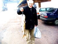 «Монстры» кефали 3–4 кг и уход баржи «Булкреми»: отчёт по уловам команды