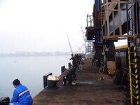 Туманная оттепель: с ним пришли кефаль, сингиль, пеленгас и чуларка