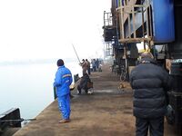 Туманная оттепель: с ним пришли кефаль, сингиль, пеленгас и чуларка