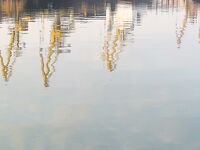 Первомай без клева: солнце и тишина, всего три бычка за день