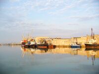 Первомай без клева: солнце и тишина, всего три бычка за день