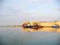 Первомай без клева: солнце и тишина, всего три бычка за день