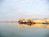 Первомай без клева: солнце и тишина, всего три бычка за день