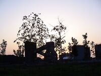 Весенний ставрид пришёл: самодур работает ведрами, попался мутант «хаймана»