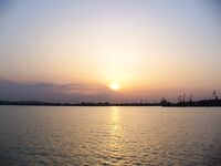 Весенний ставрид пришёл: самодур работает ведрами, попался мутант «хаймана»