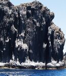 Viejo и cabrillo с Канар — Марию не видно, но экземпляры достойные по виду