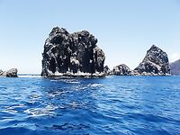 Канарские глубины и даун-риджер: Мария с gallo, тяжёлая добыча на 400–500 метров