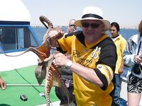 Кипр, охота на осьминога: мотовило, груз-конус 150 г и белые ленточки