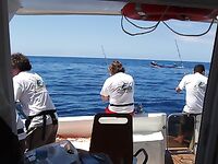 Абадехо на гриле: вечерняя кулинарная точка после удачной морской рыбалки