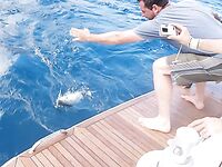 Абадехо на гриле: вечерняя кулинарная точка после удачной морской рыбалки