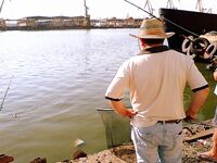 Порт Бургас, кей «Славянка»: пеленгас на нереиса — бронь места с 02:00