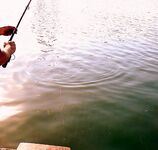 Порт Бургас, кей «Славянка»: пеленгас на нереиса — бронь места с 02:00