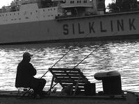 Сингиль и пеленгас в порту: 8 штук на нереиса, вчера крупный сошёл