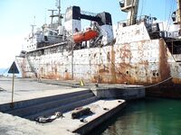 Сингиль и пеленгас в порту: 8 штук на нереиса, вчера крупный сошёл