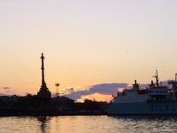 Сингиль и пеленгас в порту: 8 штук на нереиса, вчера крупный сошёл