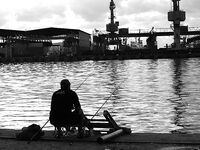 Сингиль и пеленгас в порту: 8 штук на нереиса, вчера крупный сошёл