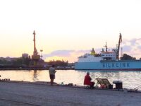 Сингиль и пеленгас в порту: 8 штук на нереиса, вчера крупный сошёл